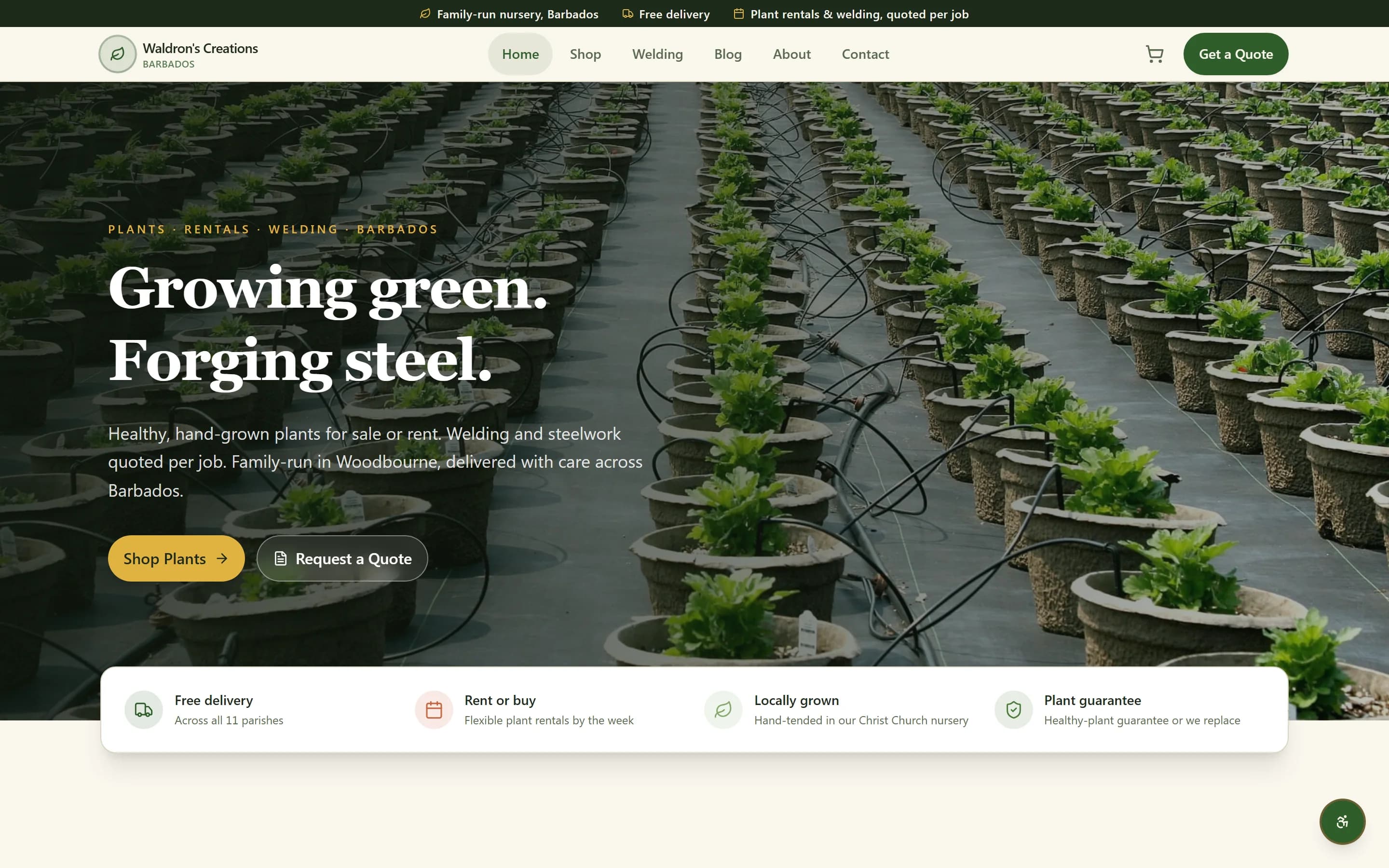Nursery landing page for the family-run nursery in Barbados